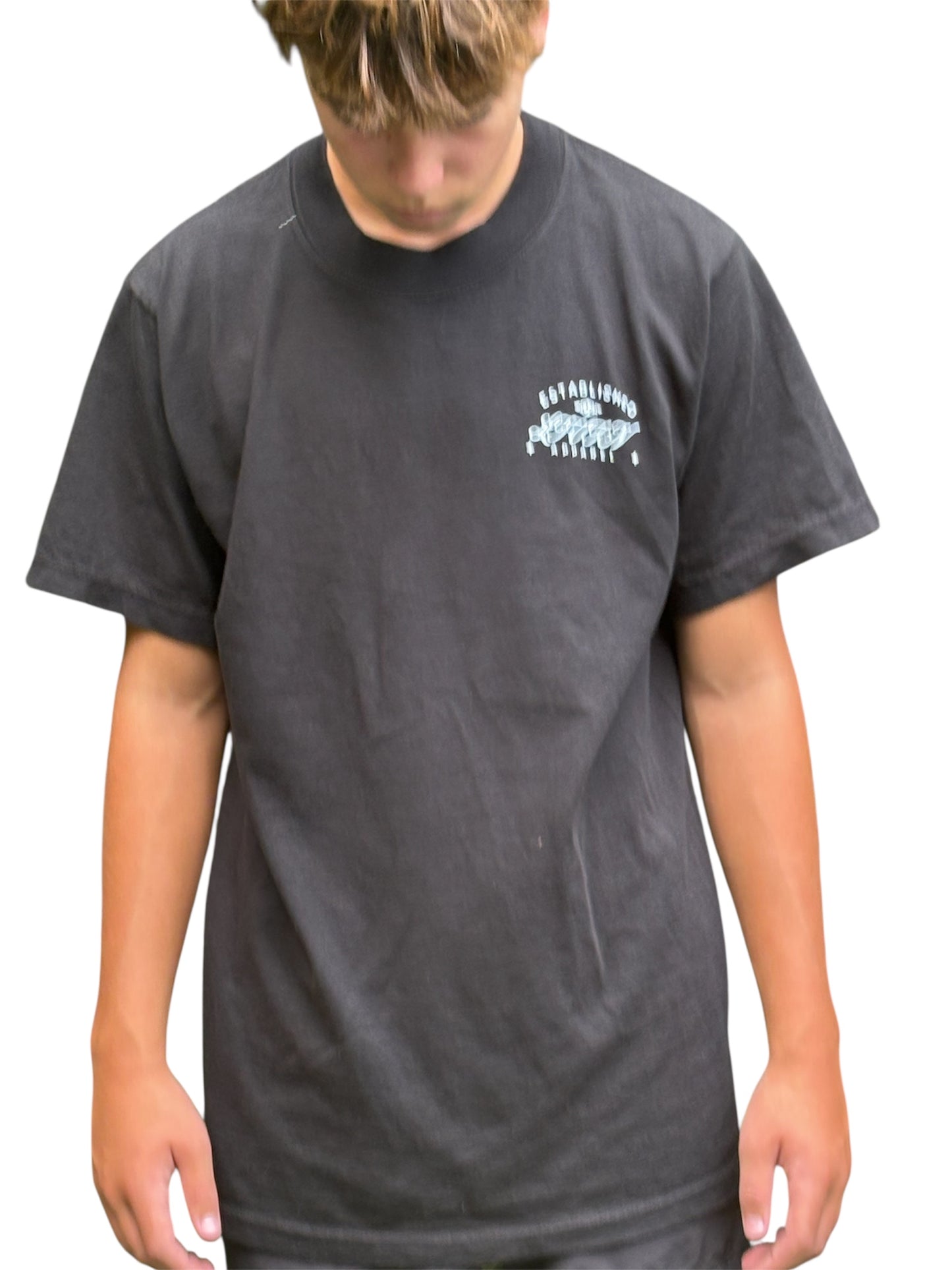 short sleeve oversized tee